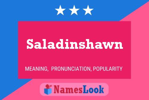 Постер имени Saladinshawn