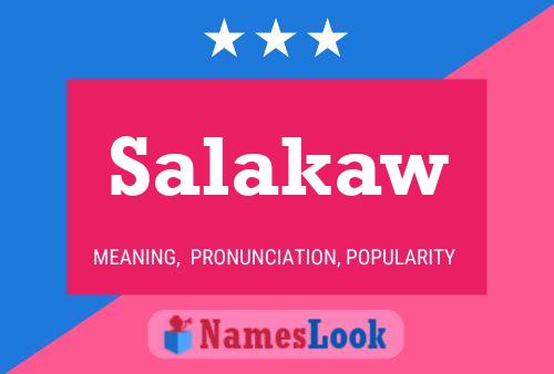 Постер имени Salakaw