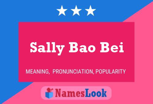 Постер имени Sally Bao Bei