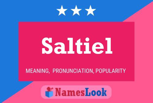 Постер имени Saltiel