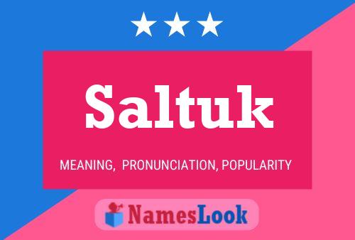 Постер имени Saltuk