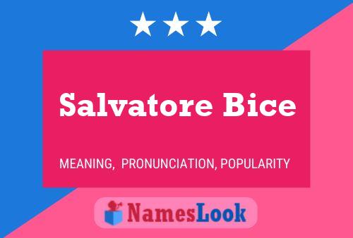 Постер имени Salvatore Bice