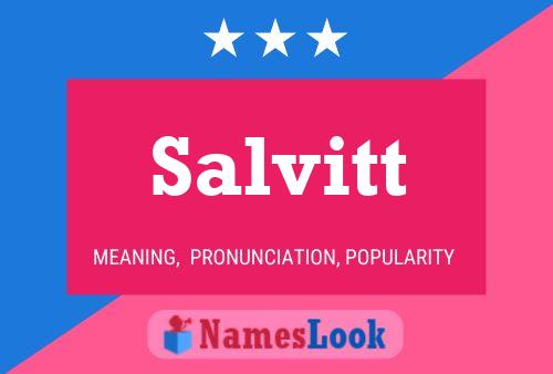 Постер имени Salvitt