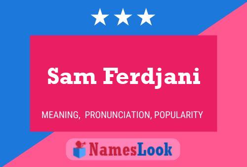 Постер имени Sam Ferdjani