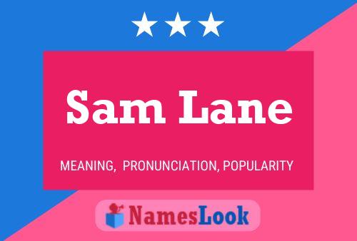 Постер имени Sam Lane