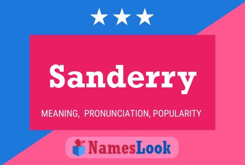 Постер имени Sanderry