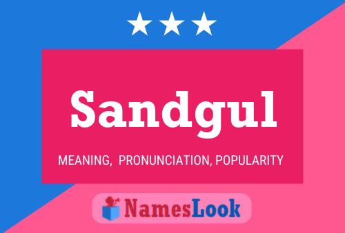 Постер имени Sandgul