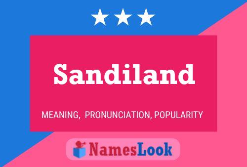 Постер имени Sandiland