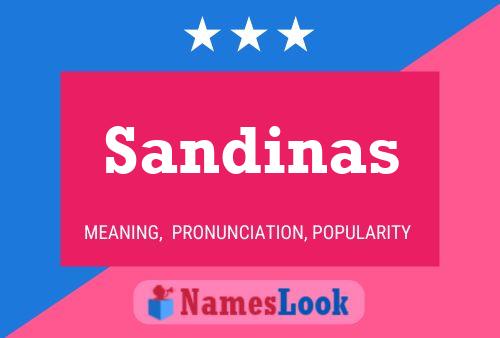 Постер имени Sandinas