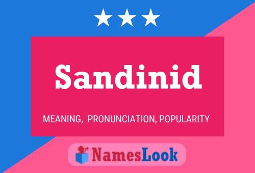 Постер имени Sandinid