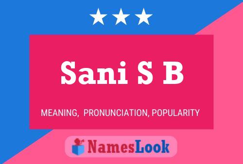 Постер имени Sani S B