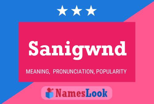 Постер имени Sanigwnd