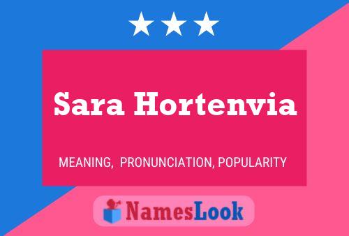 Постер имени Sara Hortenvia