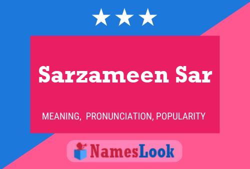 Постер имени Sarzameen Sar