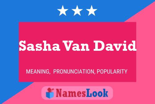 Постер имени Sasha Van David