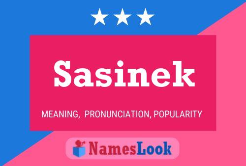 Постер имени Sasinek