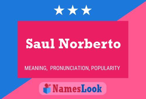 Постер имени Saul Norberto