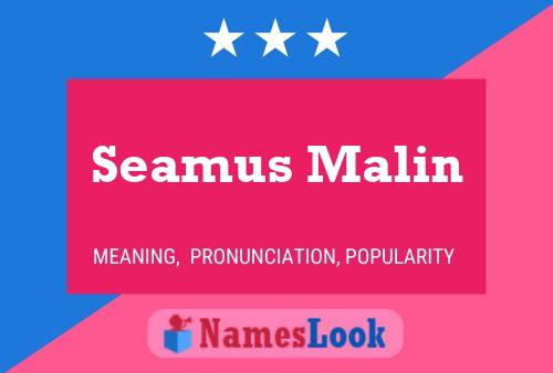 Постер имени Seamus Malin