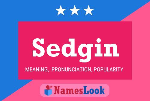 Постер имени Sedgin