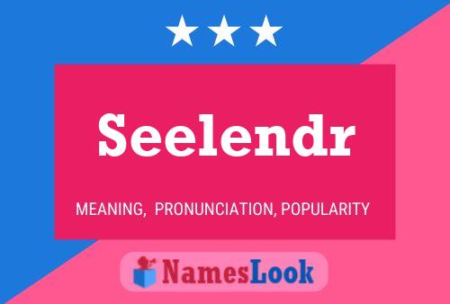 Постер имени Seelendr