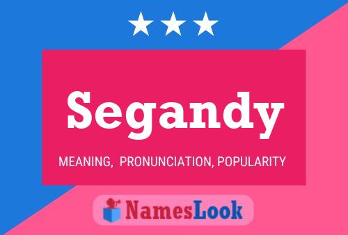 Постер имени Segandy