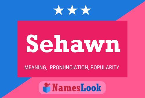 Постер имени Sehawn