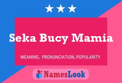 Постер имени Seka Bucy Mamia