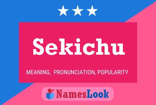 Постер имени Sekichu