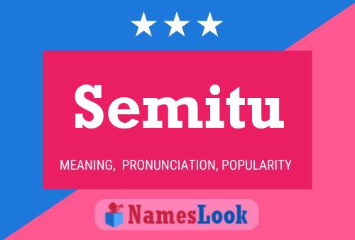 Постер имени Semitu