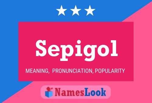 Постер имени Sepigol