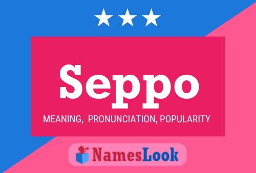 Постер имени Seppo