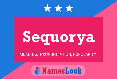 Постер имени Sequorya