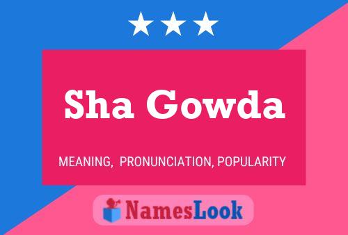 Постер имени Sha Gowda