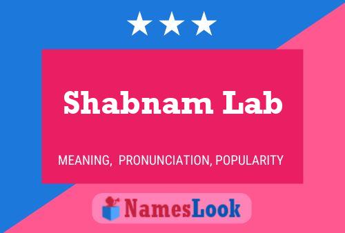 Постер имени Shabnam Lab