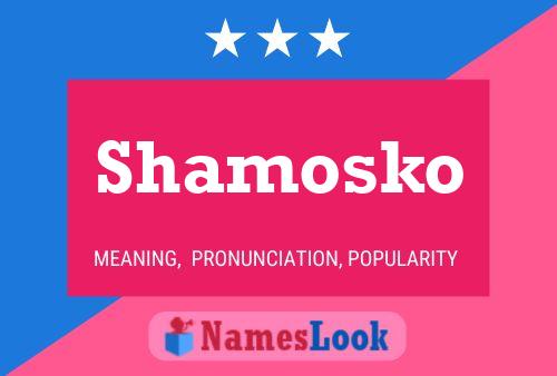 Постер имени Shamosko