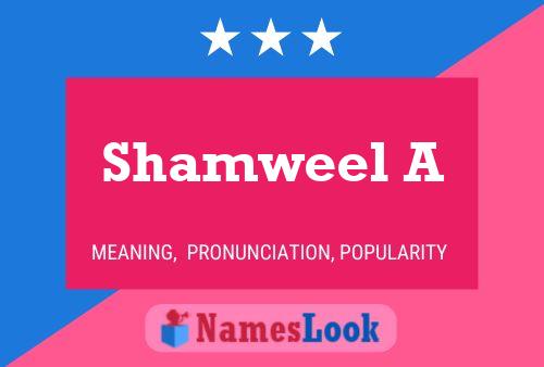 Постер имени Shamweel A