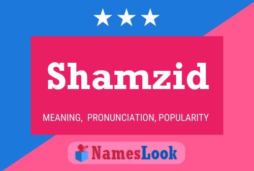 Постер имени Shamzid