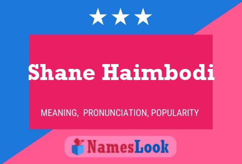 Постер имени Shane Haimbodi