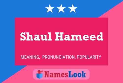 Постер имени Shaul Hameed