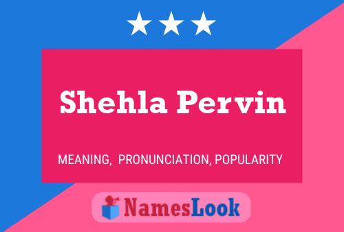 Постер имени Shehla Pervin