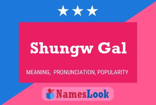 Постер имени Shungw Gal