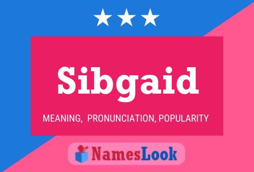 Постер имени Sibgaid