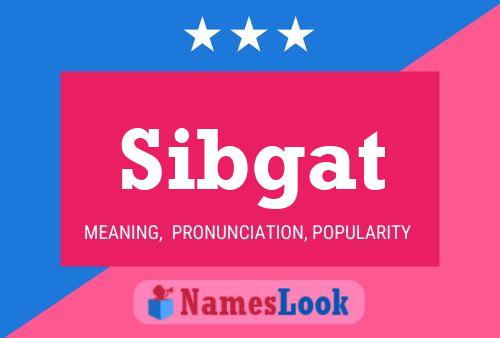 Постер имени Sibgat