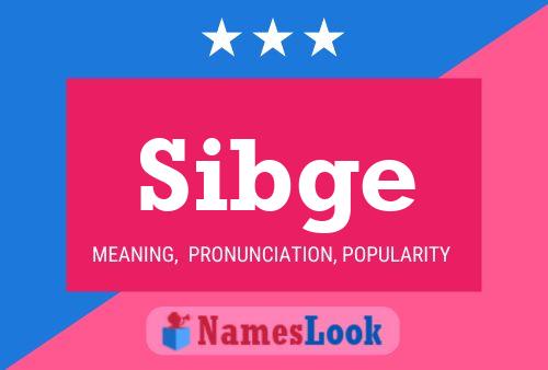 Постер имени Sibge