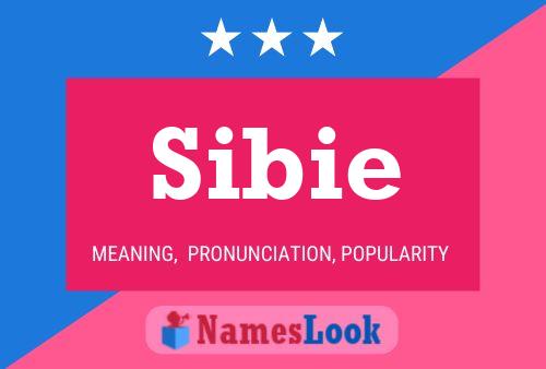 Постер имени Sibie