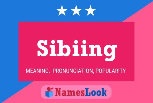 Постер имени Sibiing