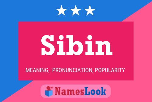 Постер имени Sibin