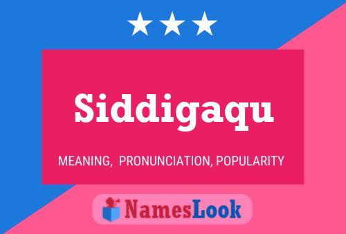 Постер имени Siddigaqu