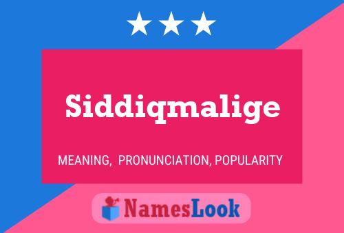 Постер имени Siddiqmalige