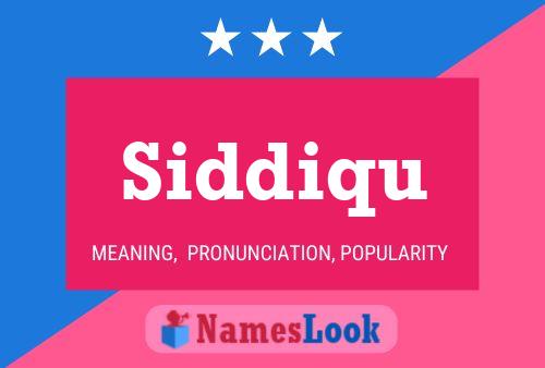 Постер имени Siddiqu